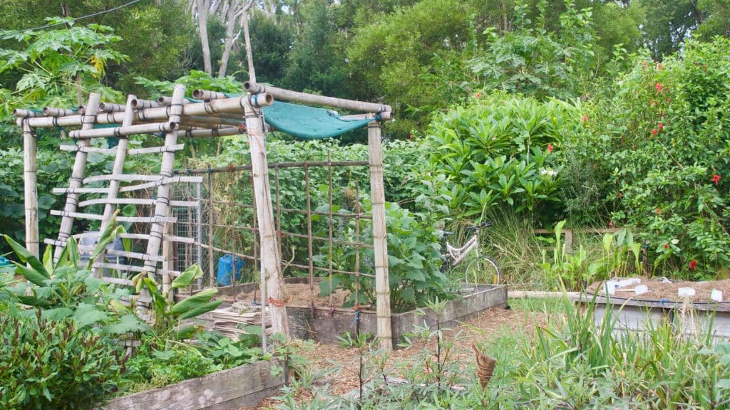 Comment la permaculture peut-elle être appliquée dans le contexte d’une ferme urbaine ?
