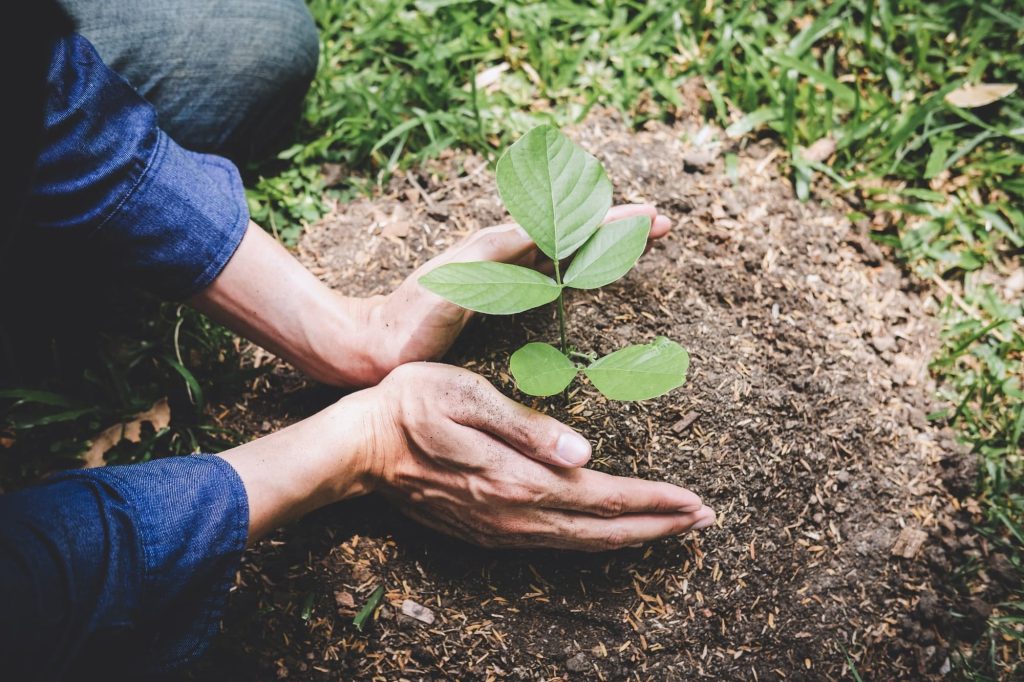 Quels moyens pour encourager les entreprises à investir dans la reforestation ?